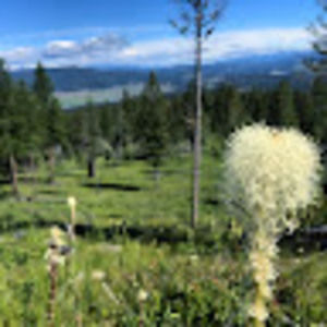 Meet your Posher, Jo